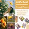 99Pcs Pressed Dried Flowers and Butterfly for Resin Molds, Assorted Real Natural Flowers Leaves Stickers for DIY Art Nail Crafts, Jewelry, Candle, Soap Crafts Making